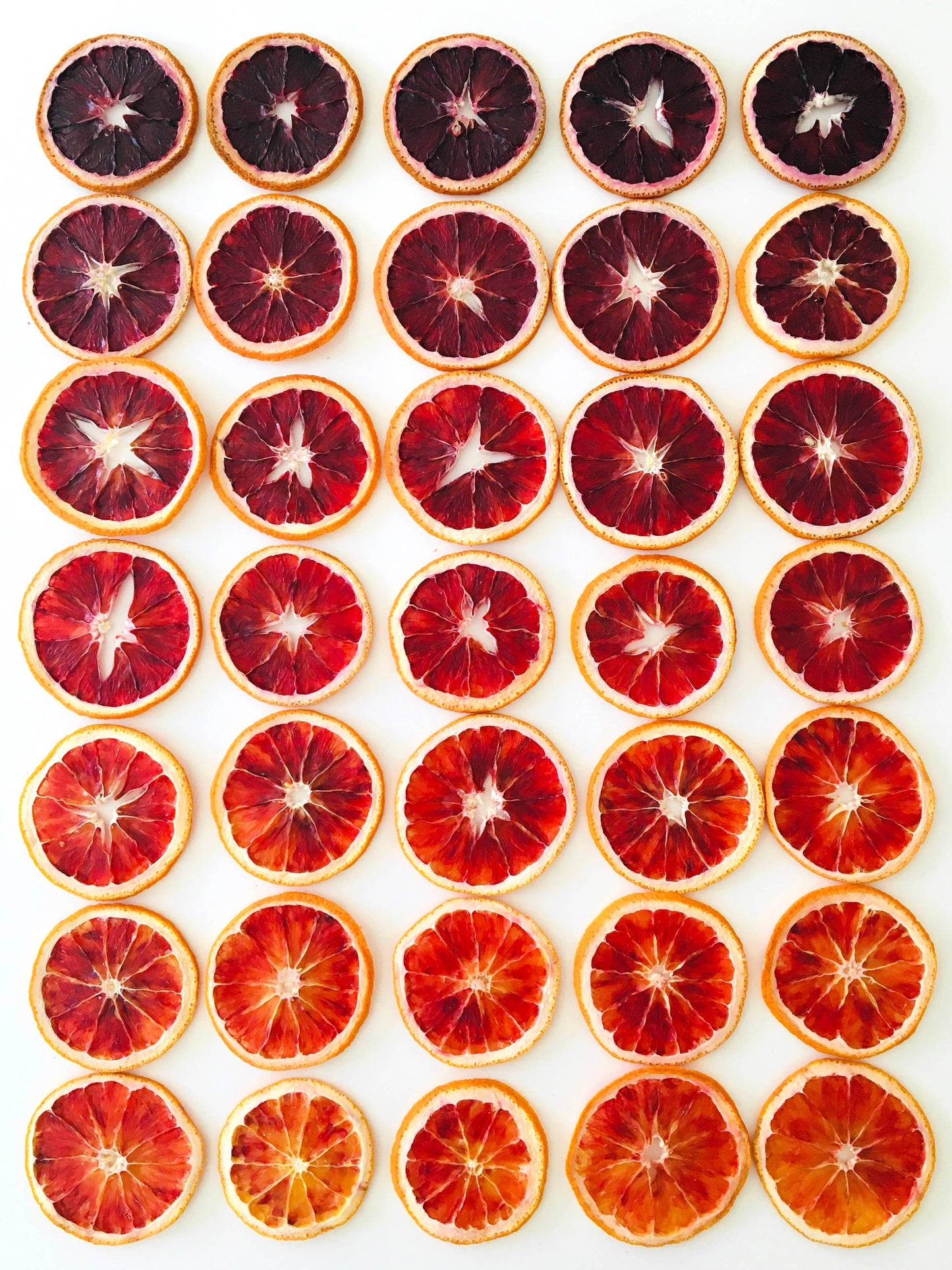 FreshDried Dried Blood Orange Wheel, Canada