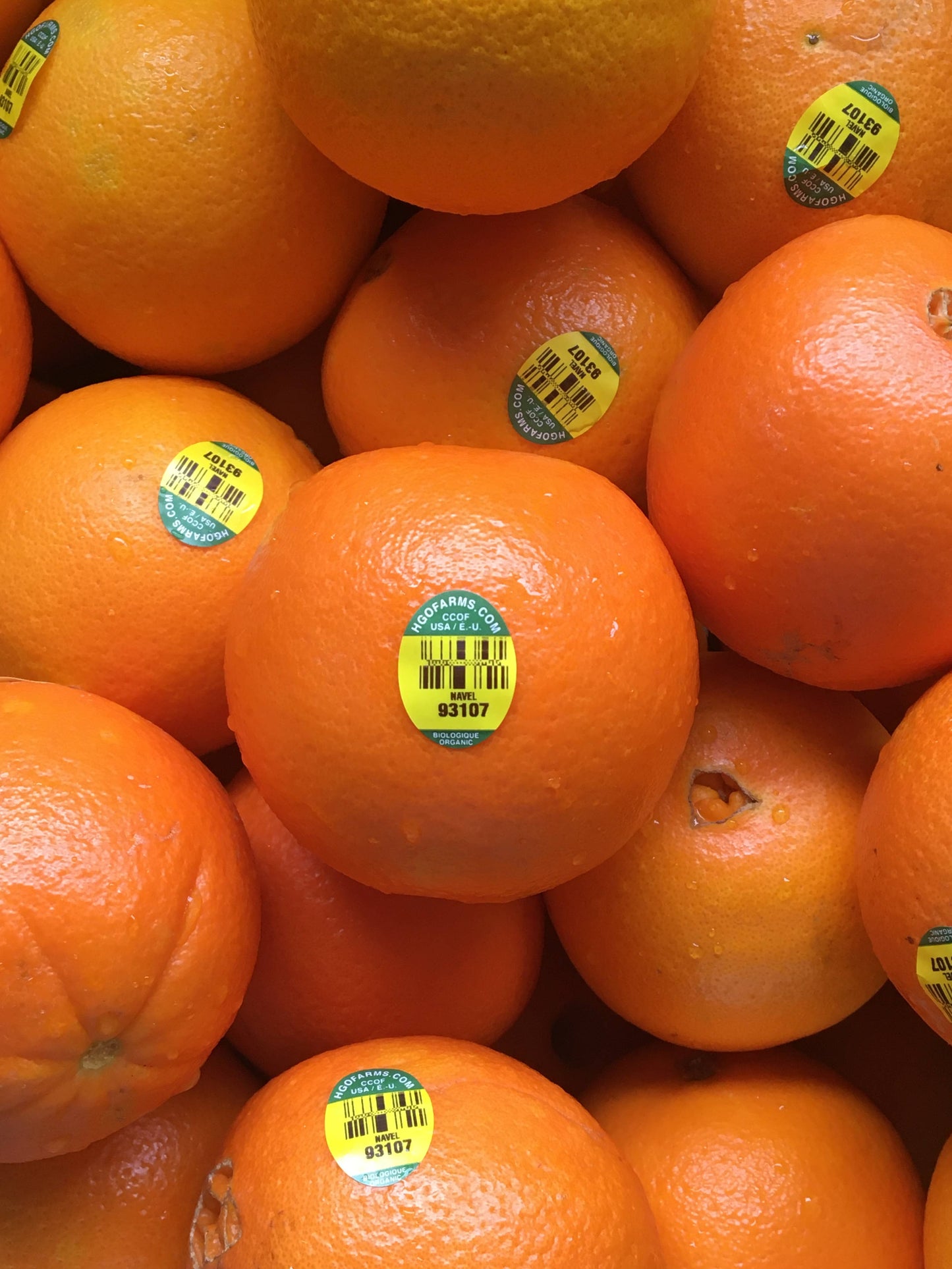 FreshDried Dried Orange Wheels, Canada