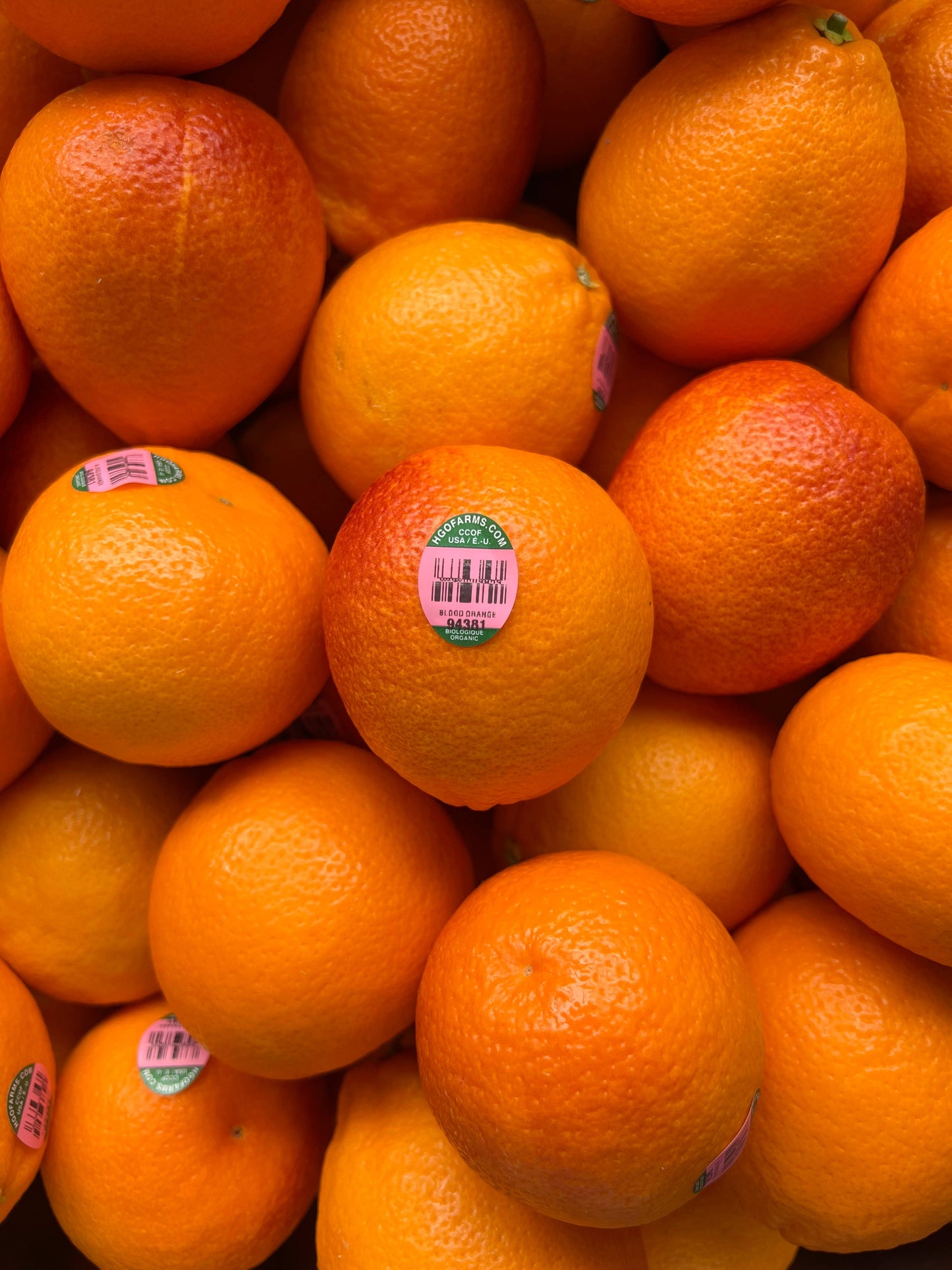 FreshDried Dried Blood Orange Wheel, Canada