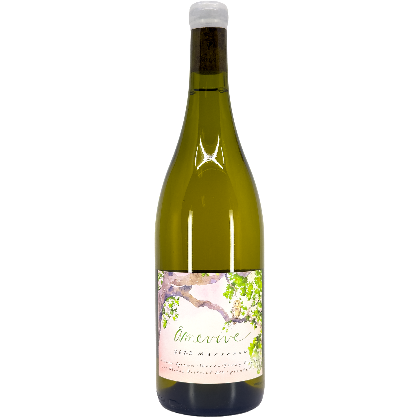 Âmevive 'Ibarra-Young Vineyard' Marsanne, Los Olivos, California