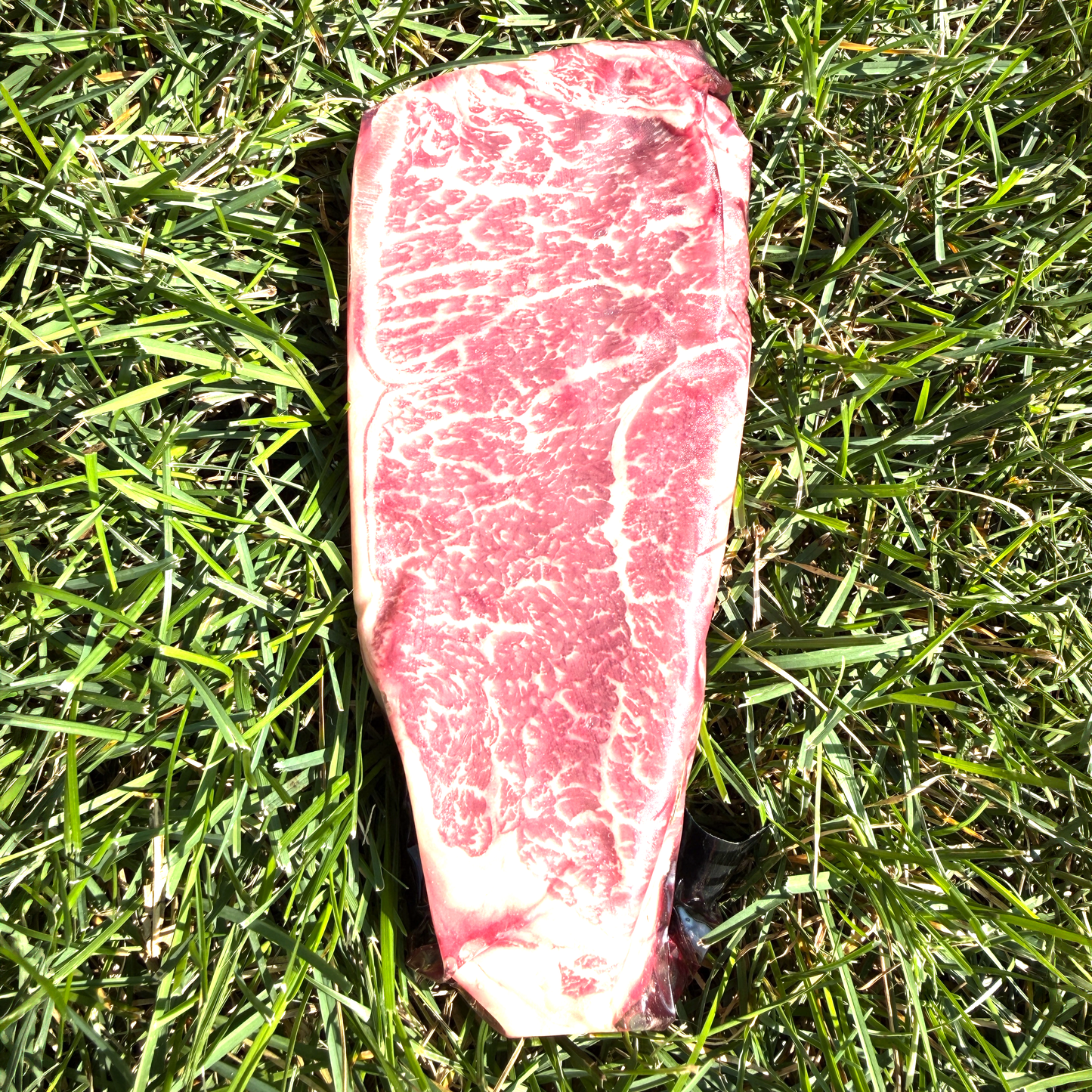 Antelope Creek Ranch Wagyu Steaks, Colorado