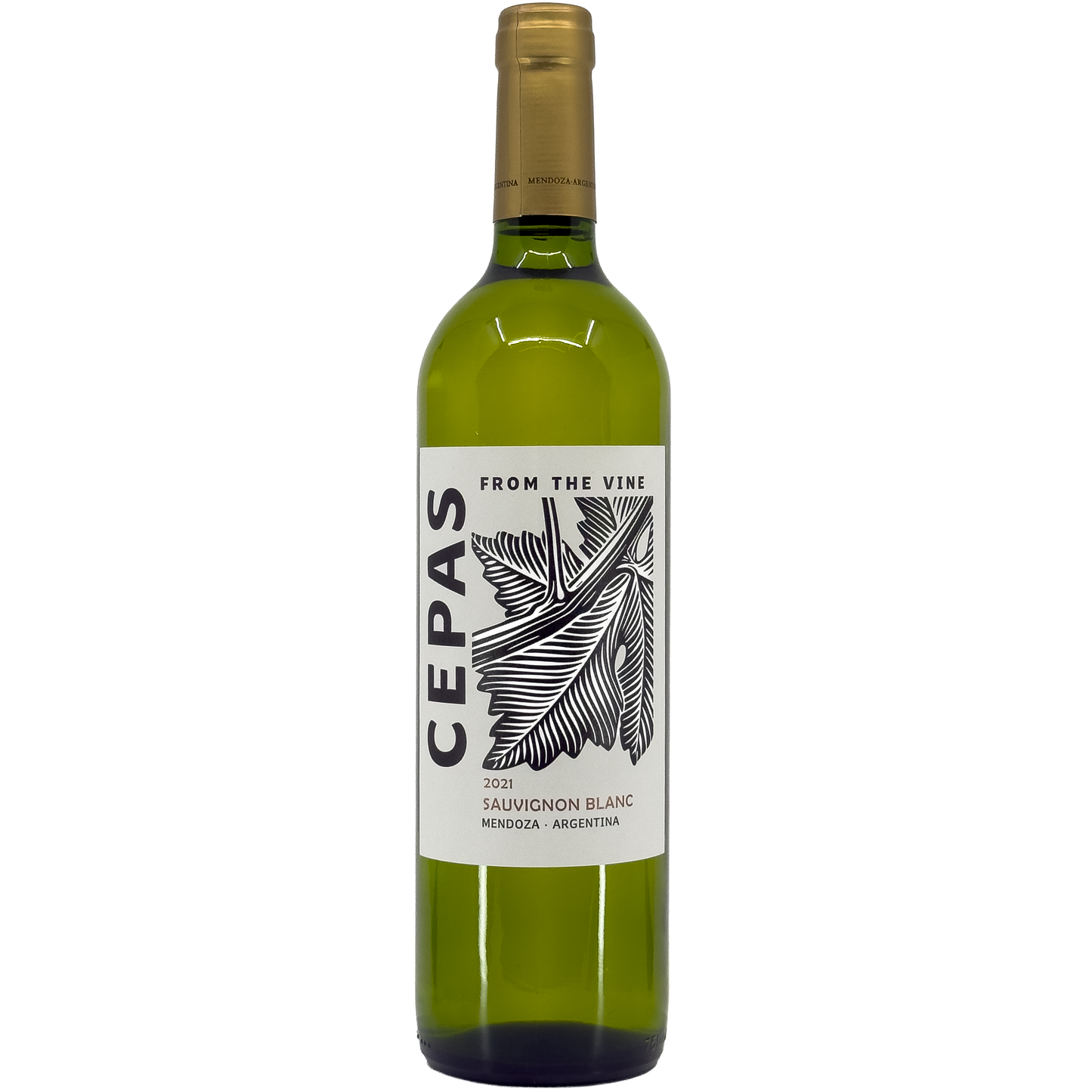 Cepas 'From the Vine' Sauvignon Blanc, Mendoza, Argentina