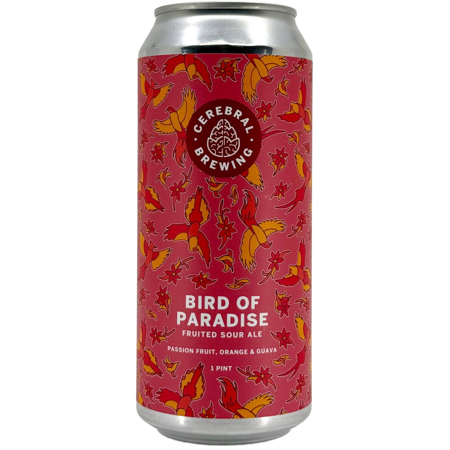 Cerebral Brewing 'Bird of Paradise' Sour Ale, Denver, Colorado, USA