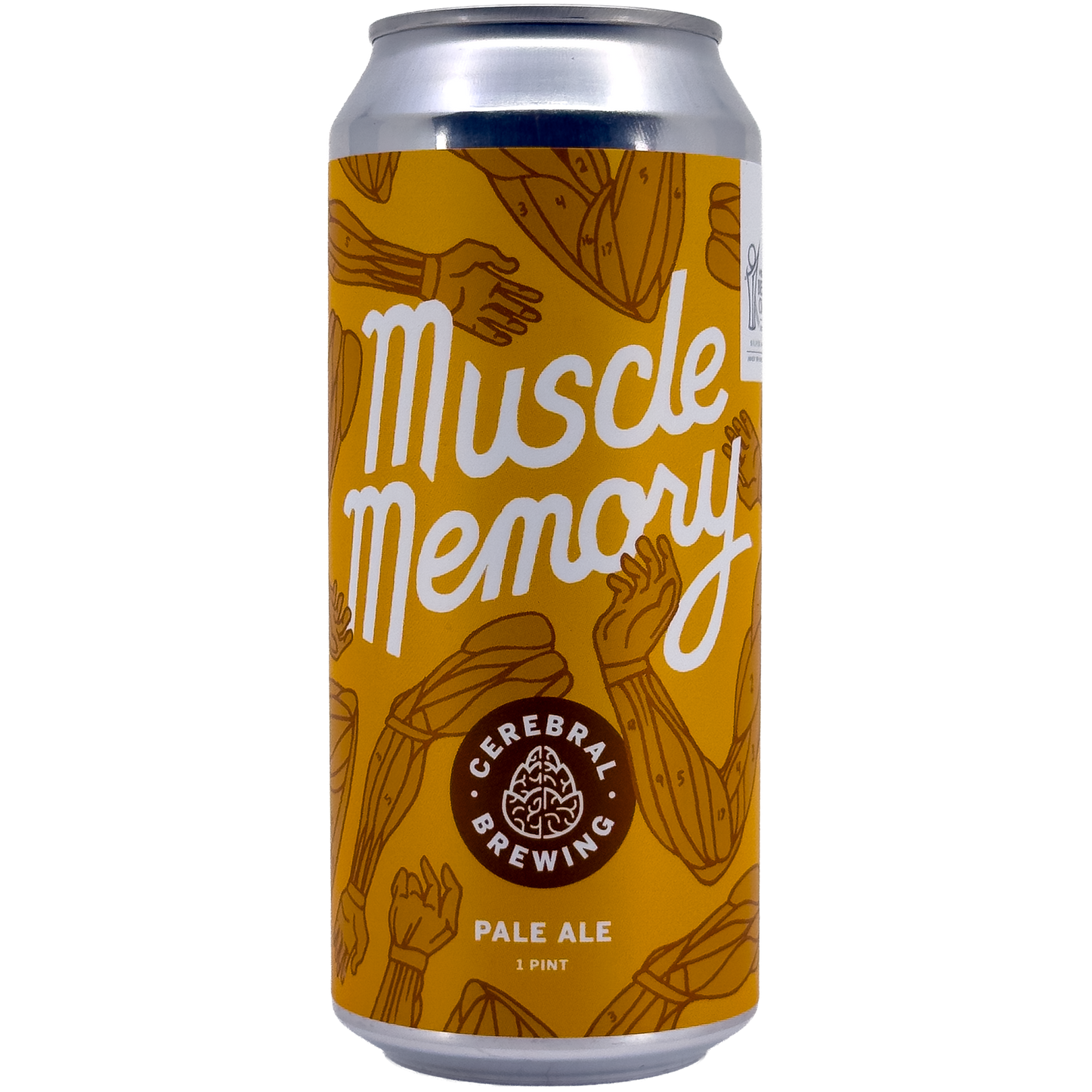 Cerebral Brewing 'Muscle Memory' Pale Ale Beer, Colorado