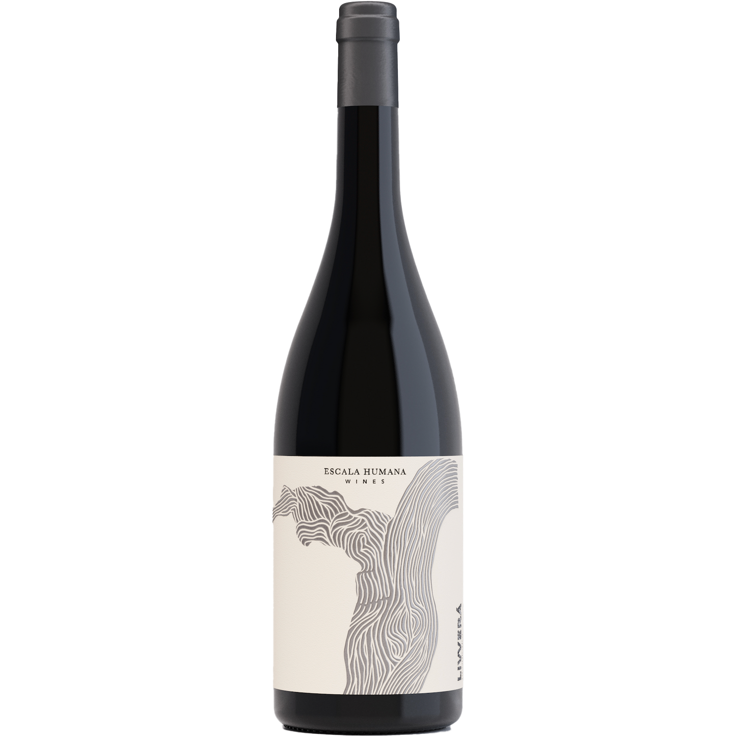 Escala Humana 'Livverá' Bequignol, El Zampal, Argentina