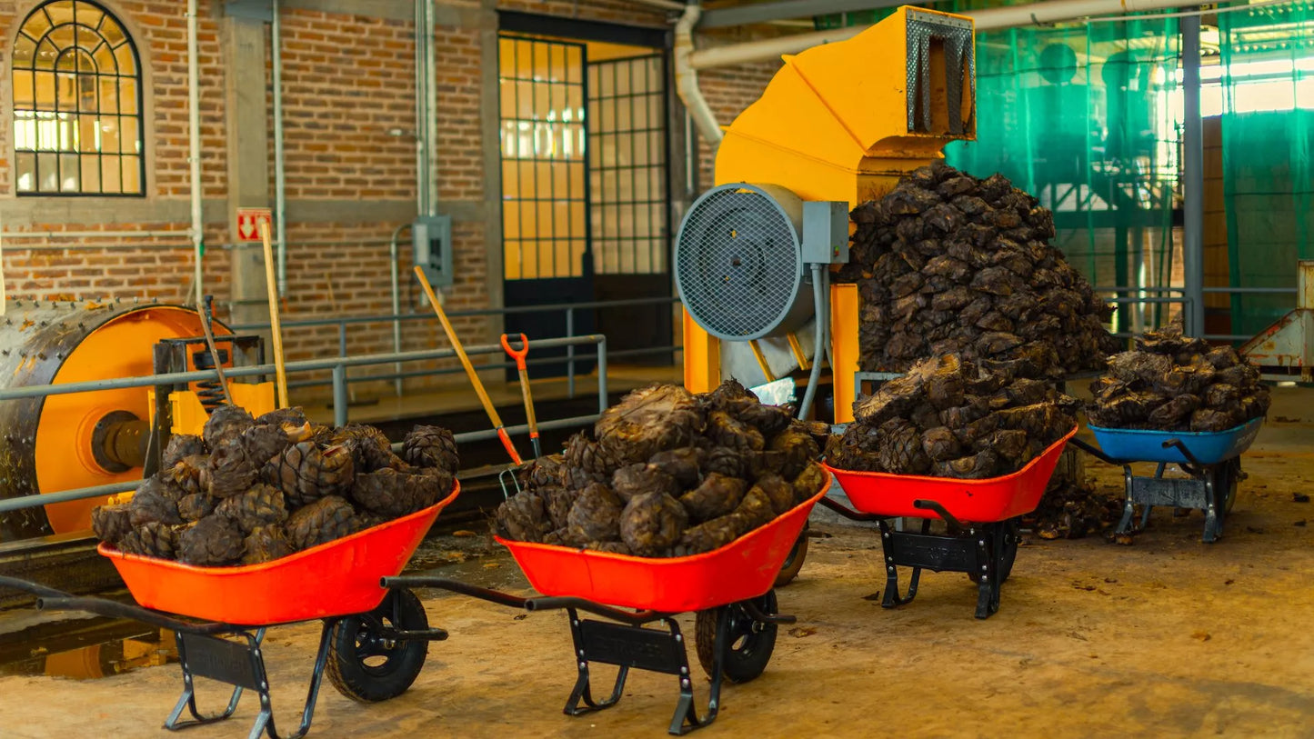 Volans Tequila Reposado, Mexico