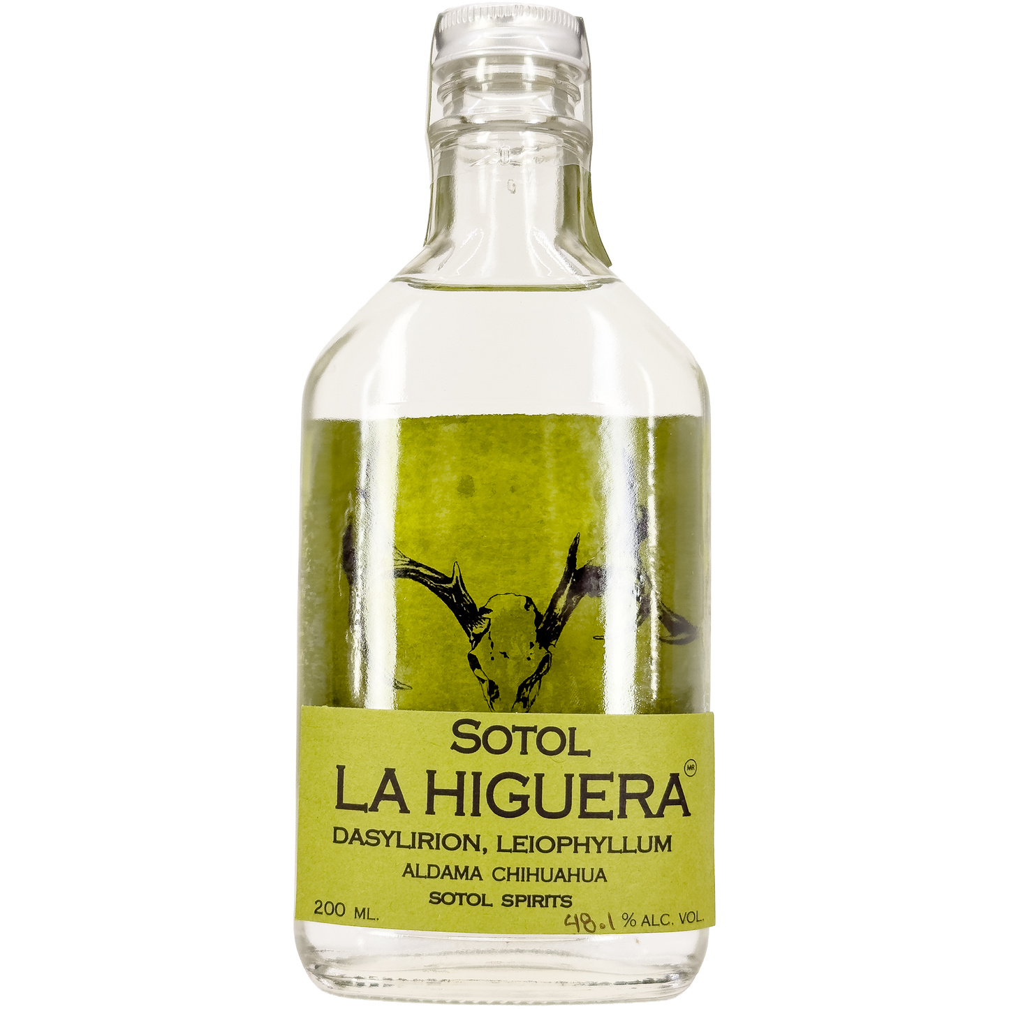 La Higuera 'Dasylirion Leiophyllum' Sotol, Chihuahua, Mexico