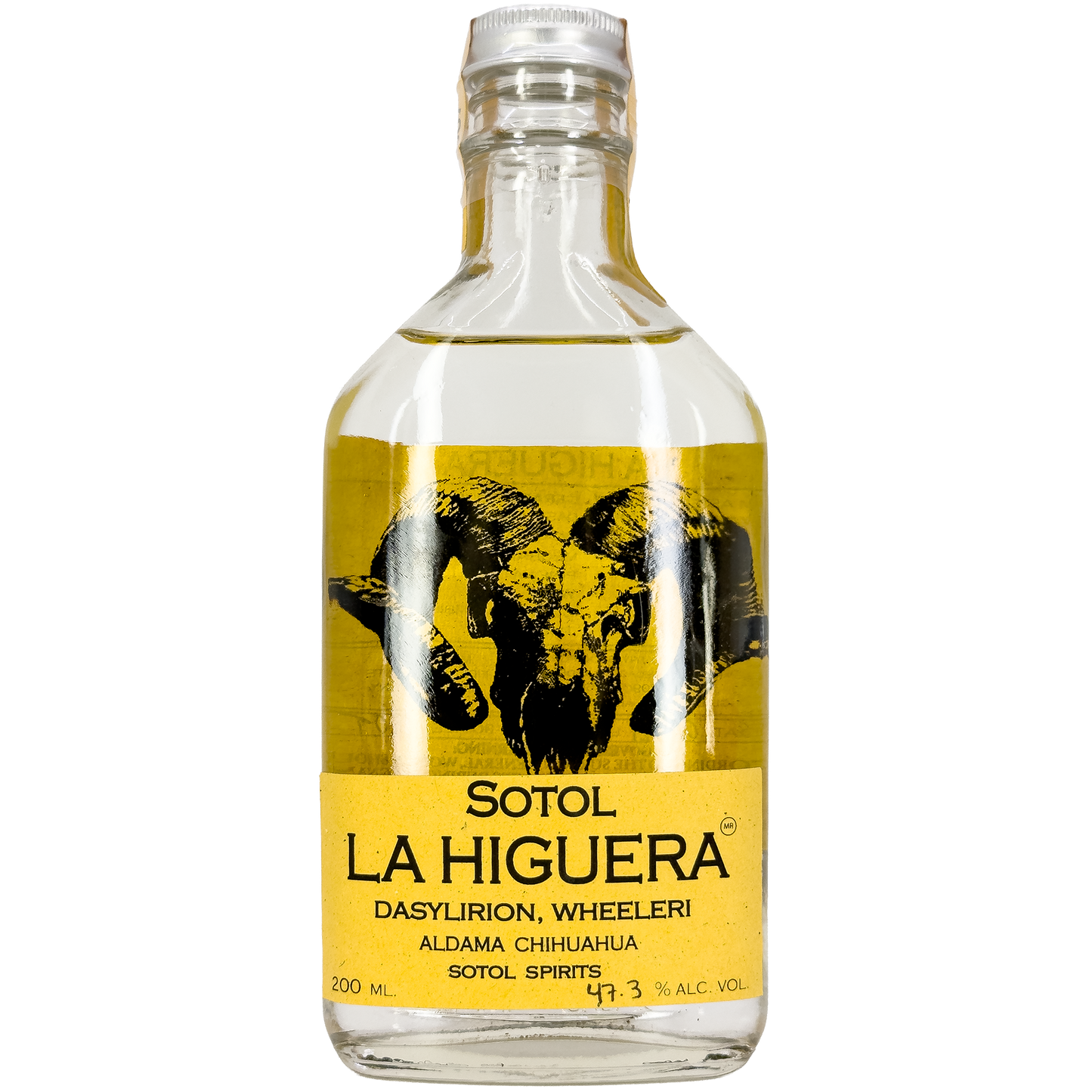 La Higuera 'Dasylirion Wheeleri' Sotol, Chihuahua, Mexico