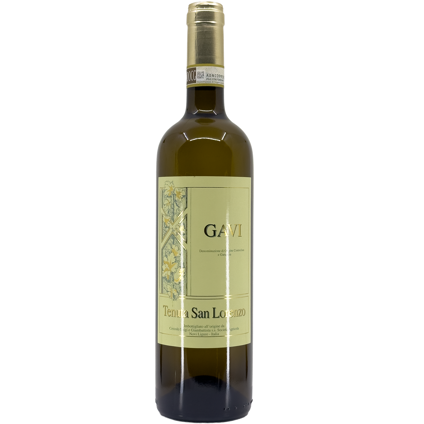 San Lorenzo Gavi del Comune di Gavi DOCG, Piedmont, Italy