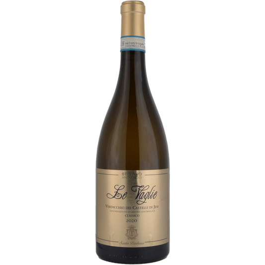 Santa Barbara Stefano Antonucci 'Le Vaglie' Verdicchio dei Castelli di Jesi Classico, Marche, Italy