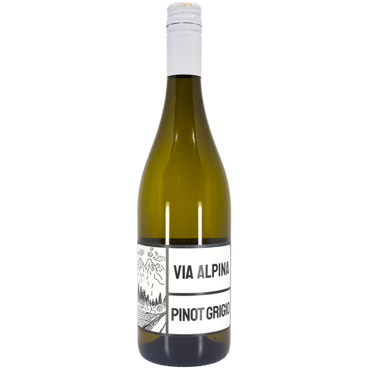 Via Alpina Pinot Grigio Colli Orientali del Friuli, Friuli-Venezia Giulia, Italy