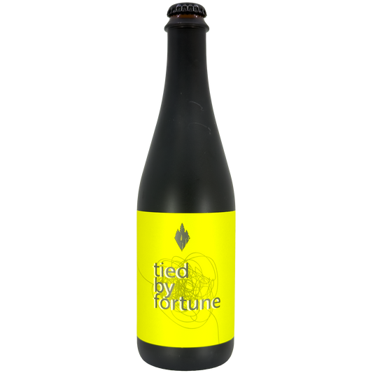 Wanderment Brewing 'Tied By Fortune' Dry Hopped Saison Beer, Colorado