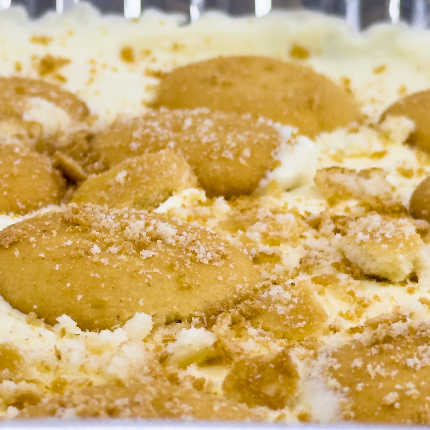 The Yellow Fix Banana Puddings, Colorado
