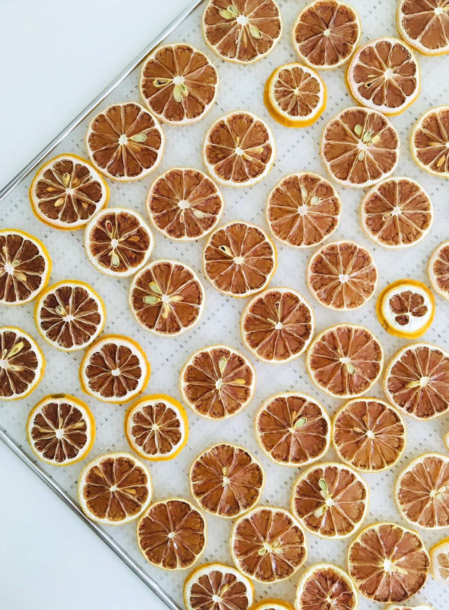 FreshDried Dried Lemon Wheels, Canada