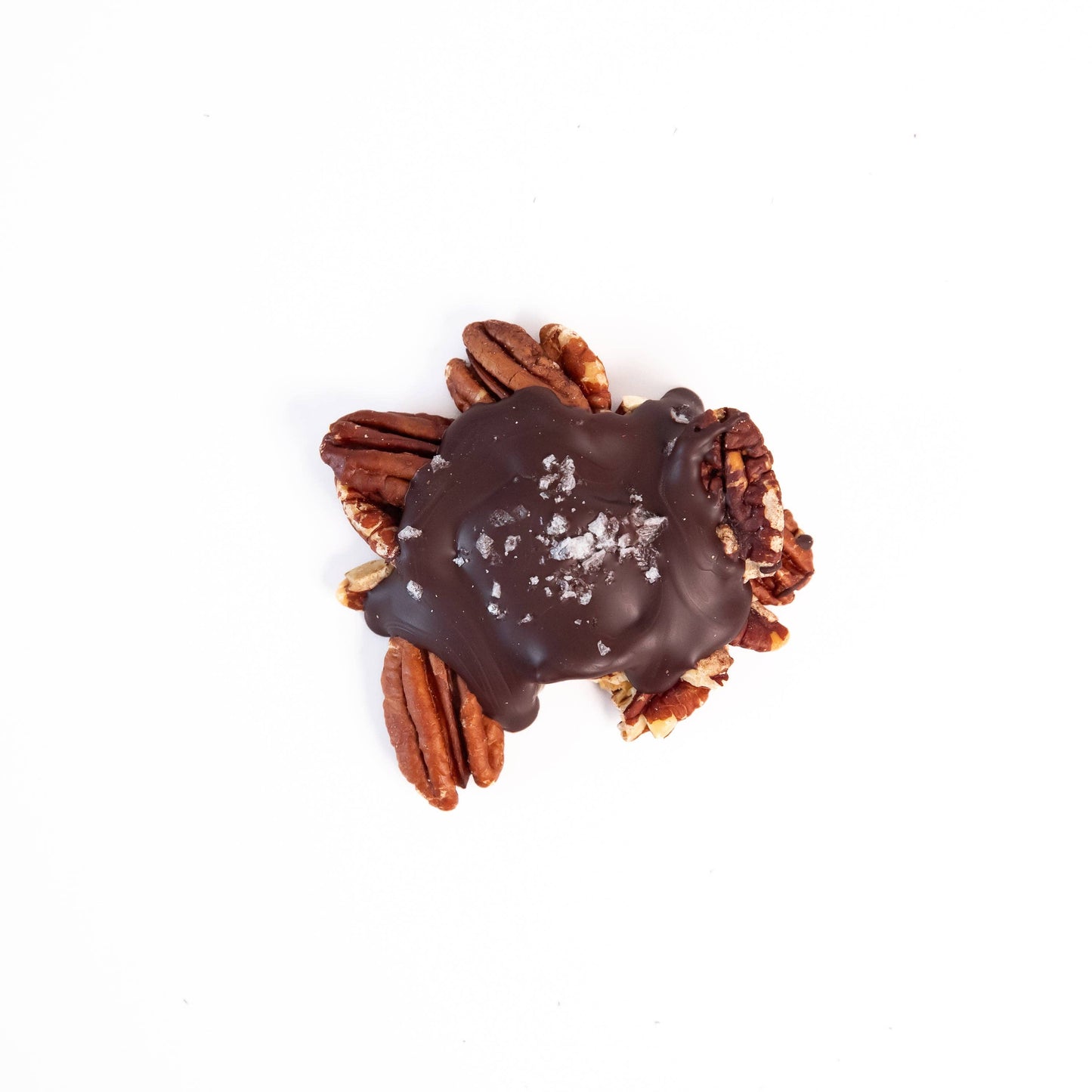 Ranger Chocolate Co. Chocolate Turtle