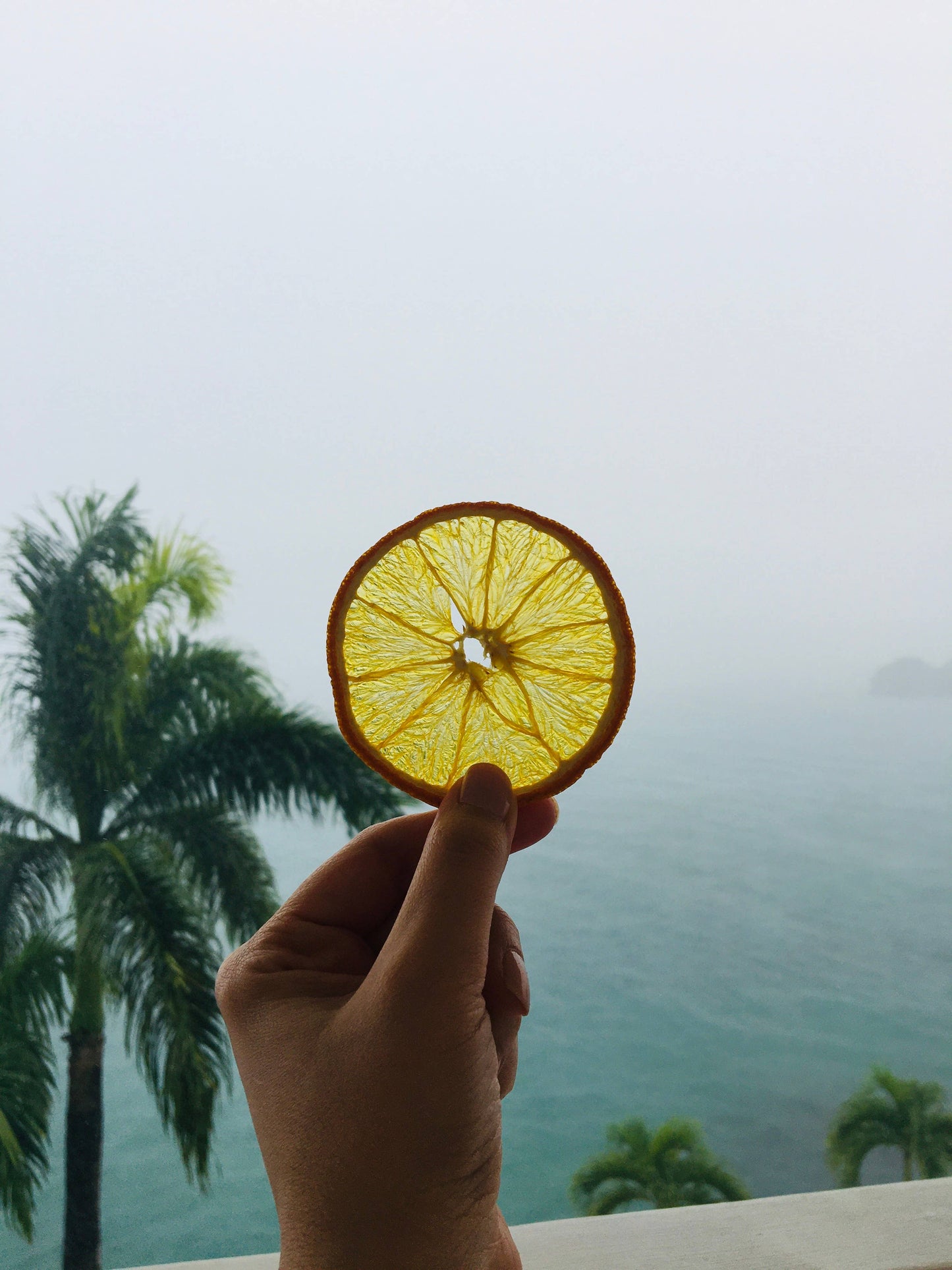 FreshDried Dried Orange Wheels, Canada