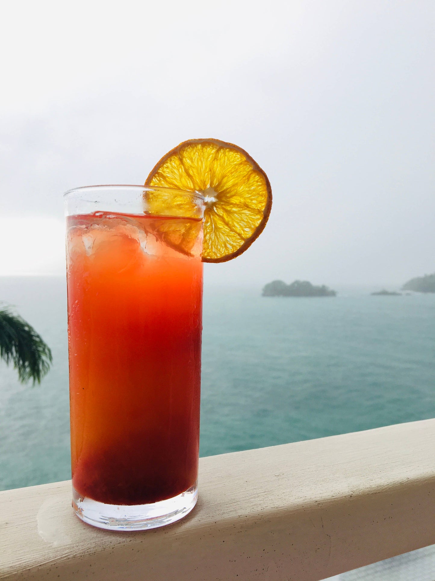 FreshDried Dried Orange Wheels, Canada