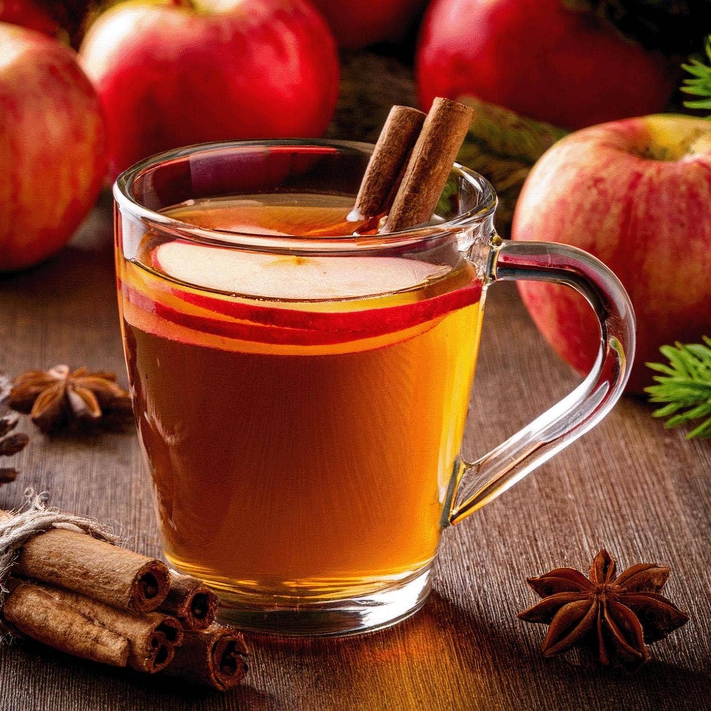Old Town Spice Shop Spiced Apple Cider, Hot Beverage Drink Mix, Colorado