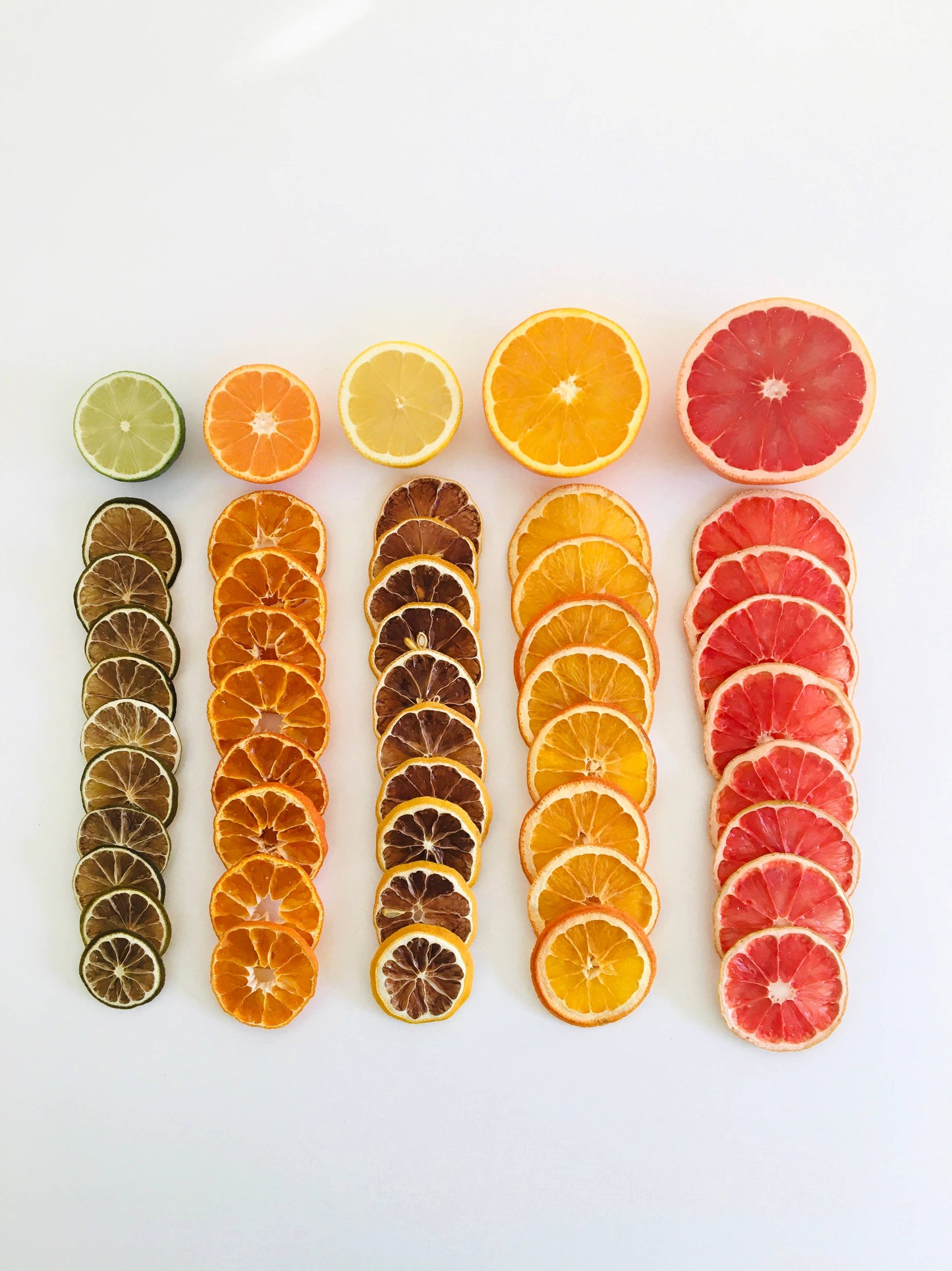 FreshDried Citrus Mix - 5 Citrus Blend, Canada