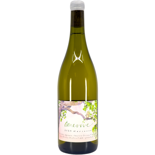 Âmevive 'Ibarra-Young Vineyard' Marsanne, Los Olivos, California