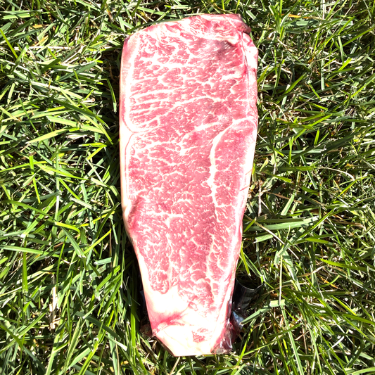 Antelope Creek Ranch Wagyu Steaks, Colorado