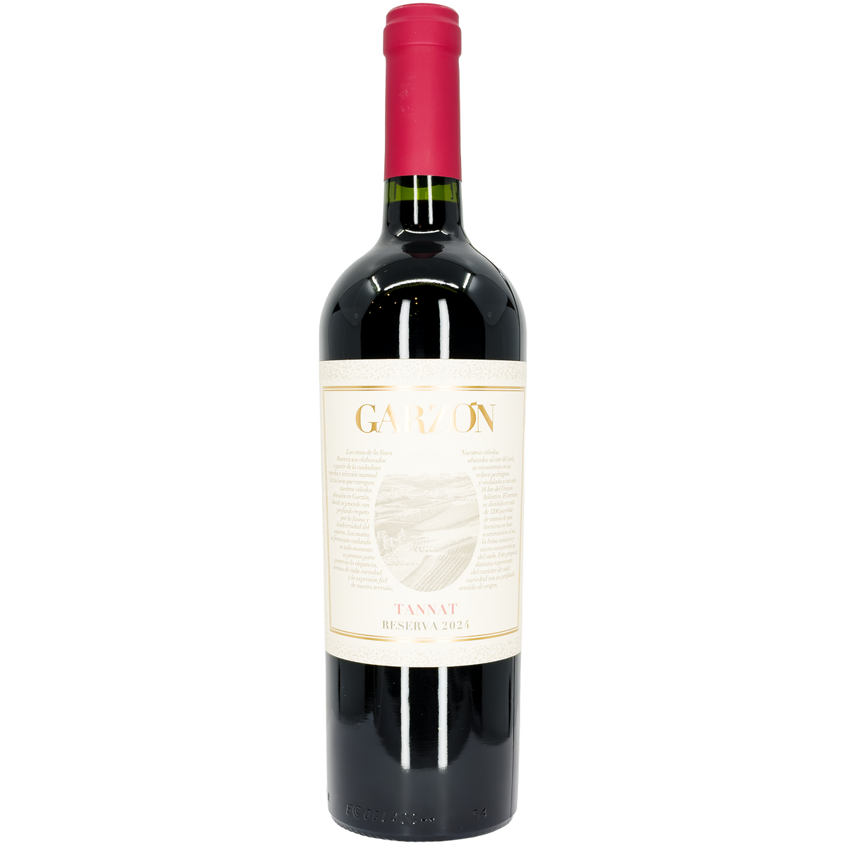 Bodega Garzon Reserva Tannat, Maldonado, Uruguay