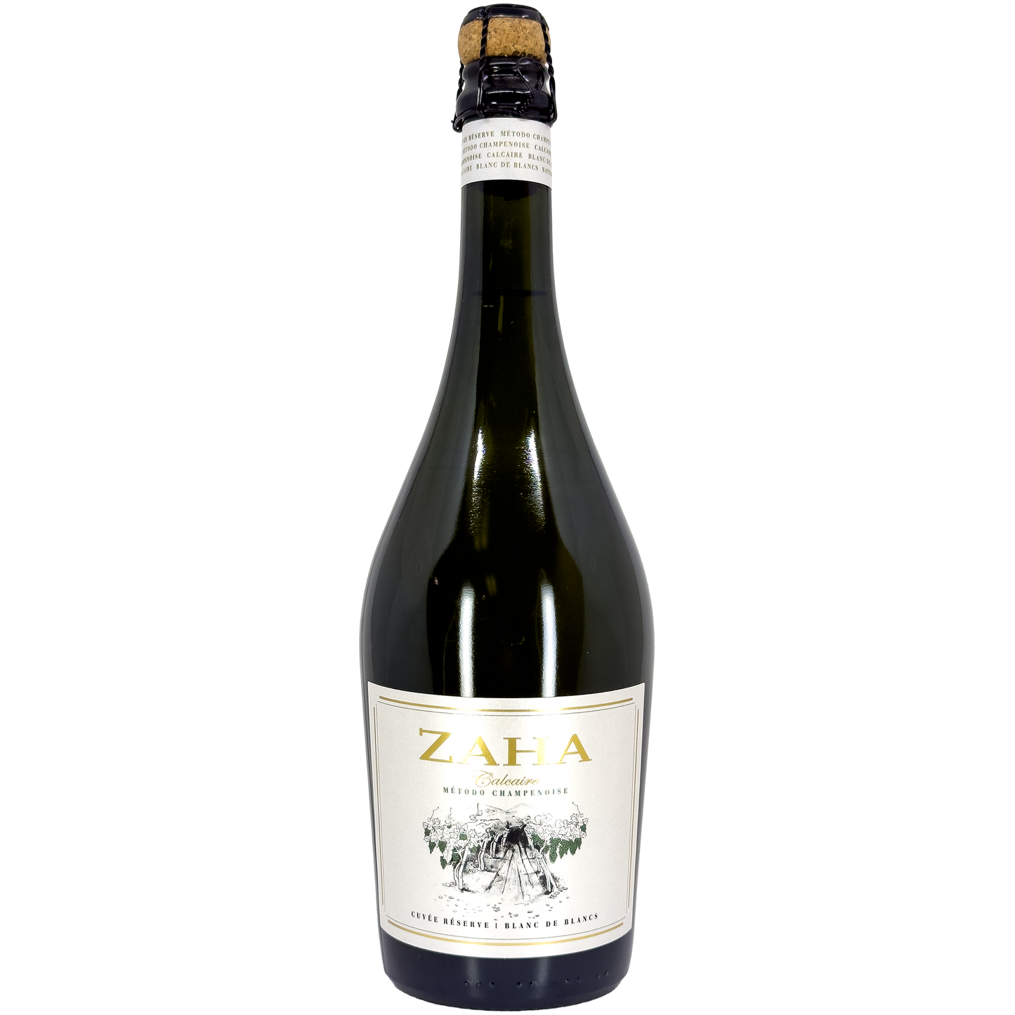 Bodega TeHo Zaha 'Calcaire' Espumante, San Carlos, Argentina