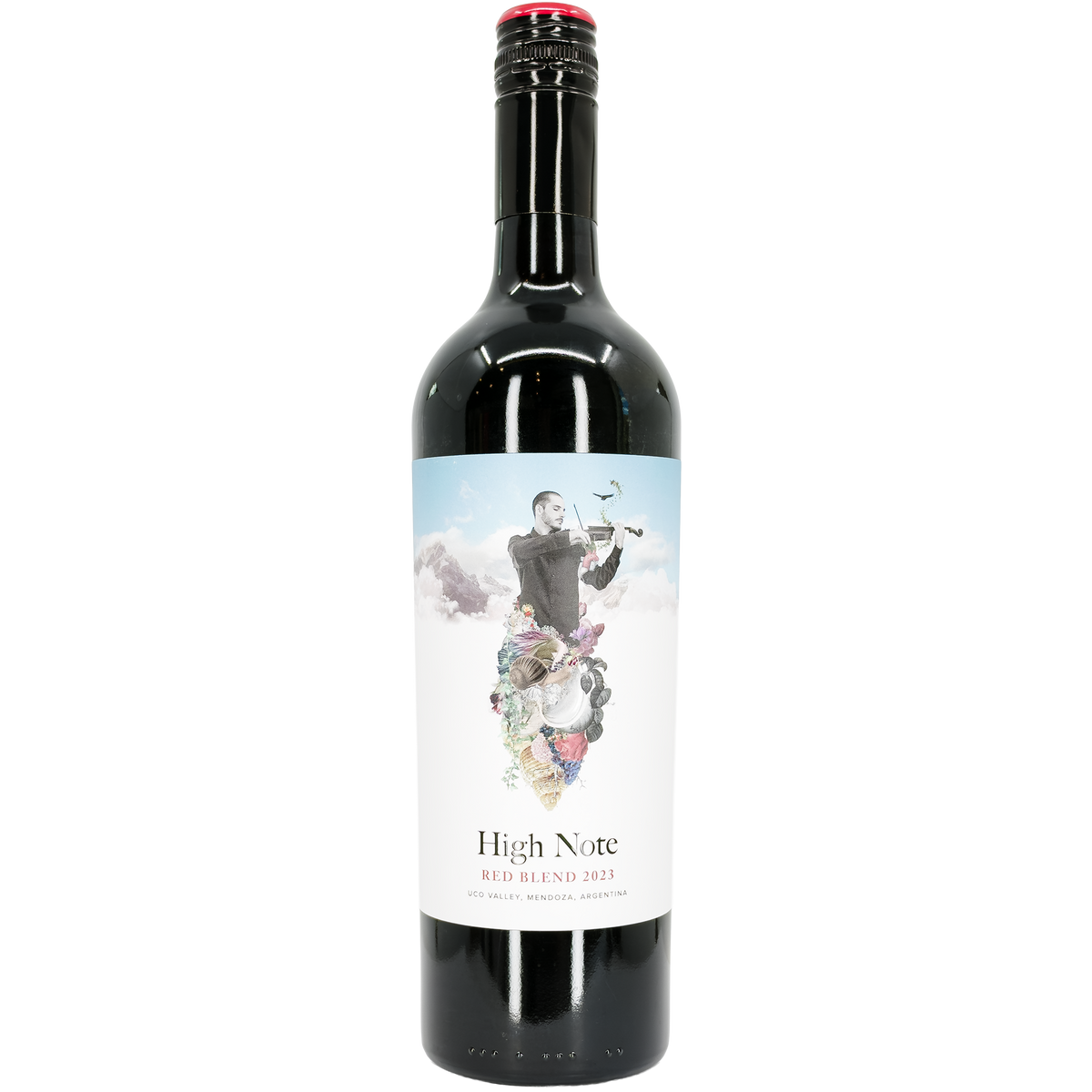 Bodega Vista del Sur 'High Note' Red Blend, Uco Valley, Argentina