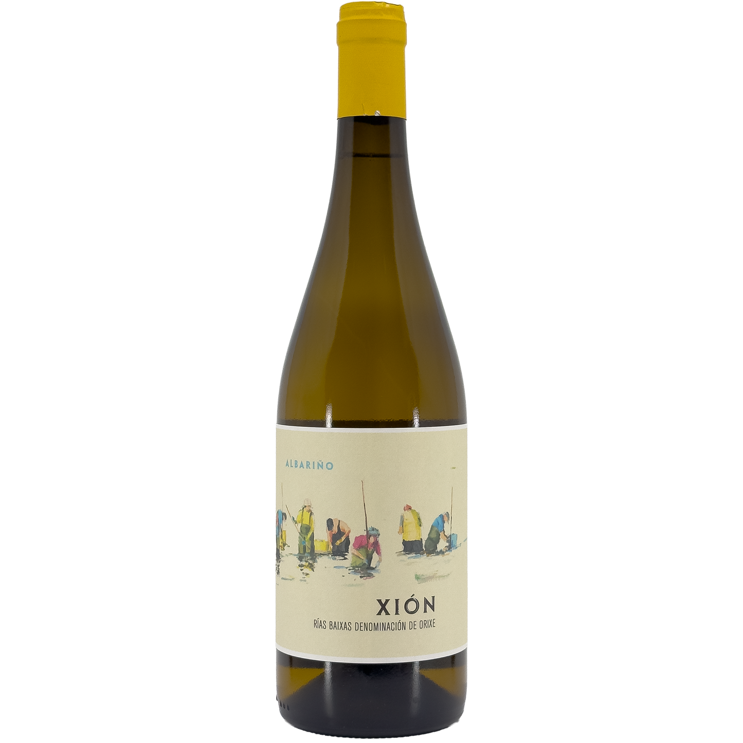 Bodegas y Vinedos Attis 'Xion' Albarino, Rias Baixas, Spain