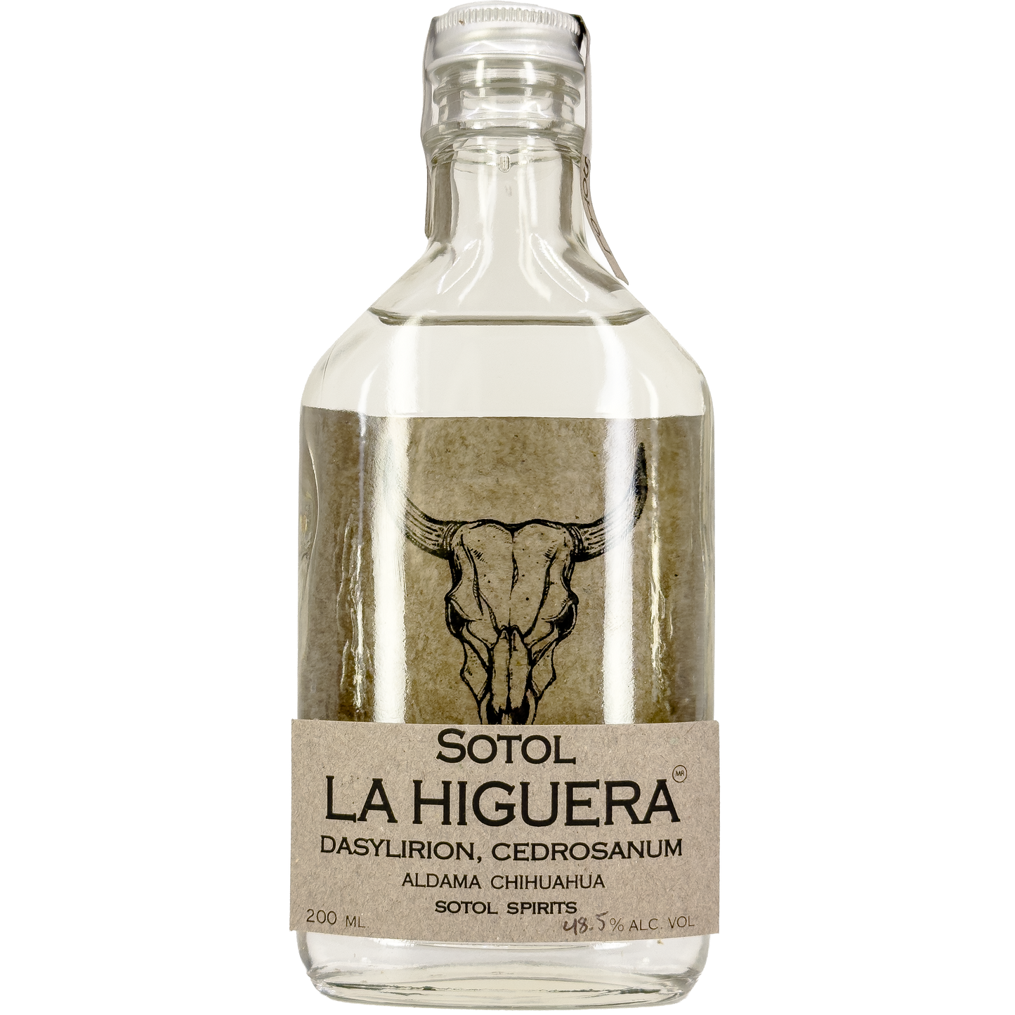 La Higuera 'Dasylirion Cedrosanum'  Sotol, Chihuahua, Mexico