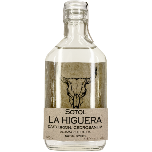 La Higuera 'Dasylirion Cedrosanum'  Sotol, Chihuahua, Mexico