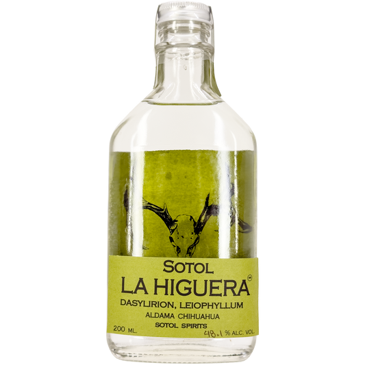 La Higuera 'Dasylirion Leiophyllum'  Sotol, Chihuahua, Mexico