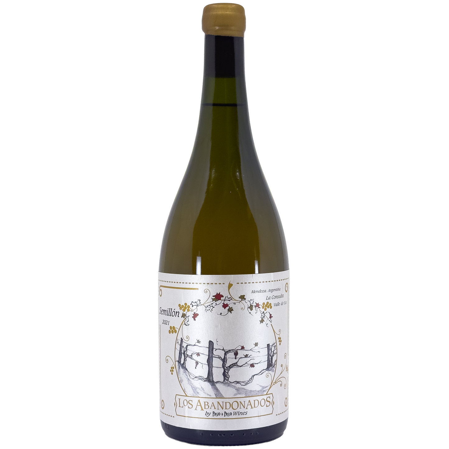 Paso a Paso Wines 'Los Abandonados' Semillon, La Consulta, Argentina