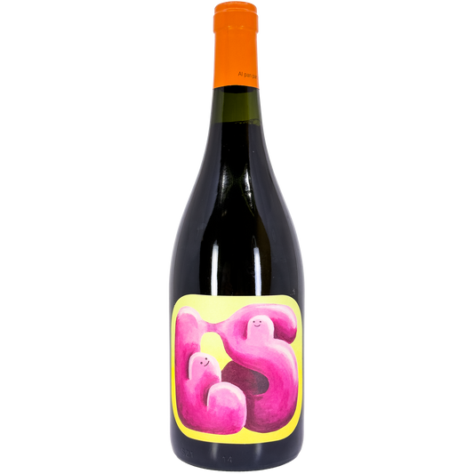 Pielihueso 'Los Sauces' Tinto, Los Chacayes, Argentina