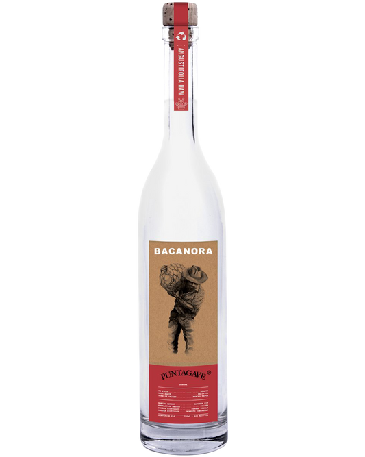 Puntagave 'Bacanora' Blanco, Sonora, Mexico