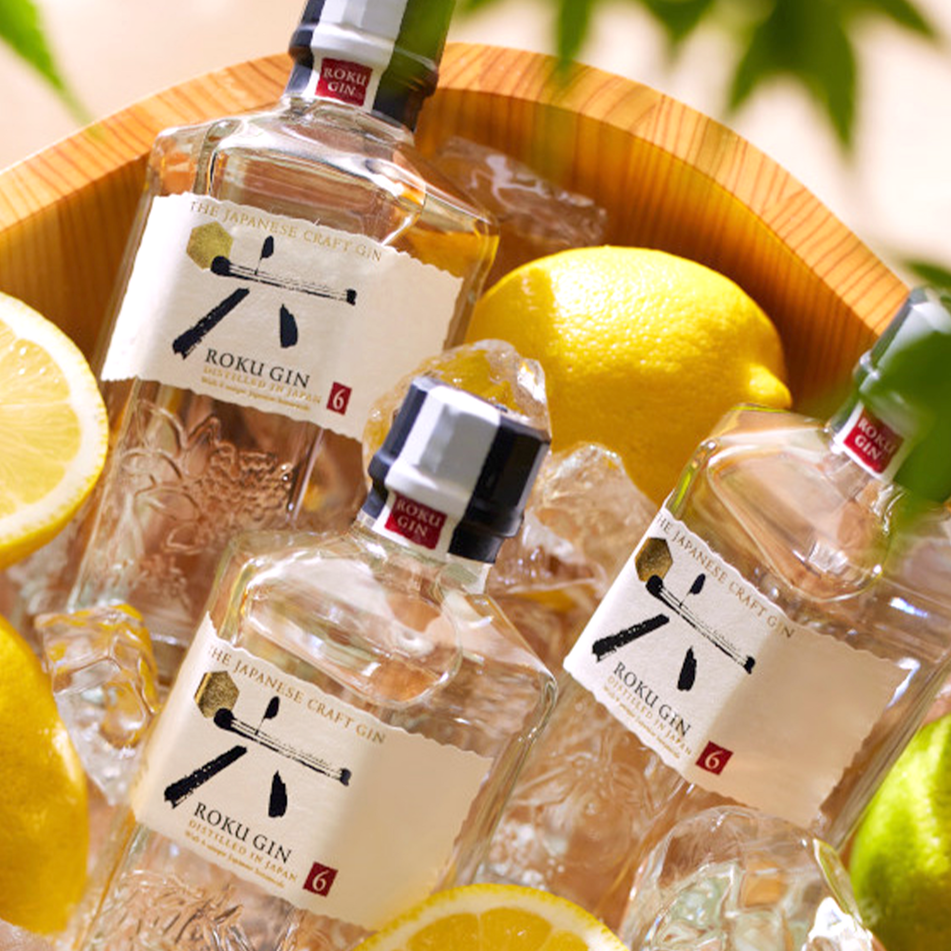 Suntory Roku Craft Gin, Japan – Wine Dispensary