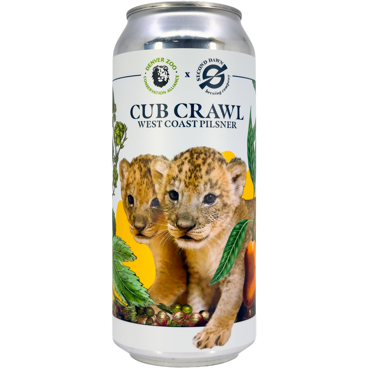Second Dawn Brewing Co 'Cub Crawl' West Coast Pilsner Beer, Colorado