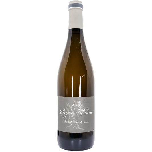 Thibaud Boudignon Anjou Blanc, Loire, France