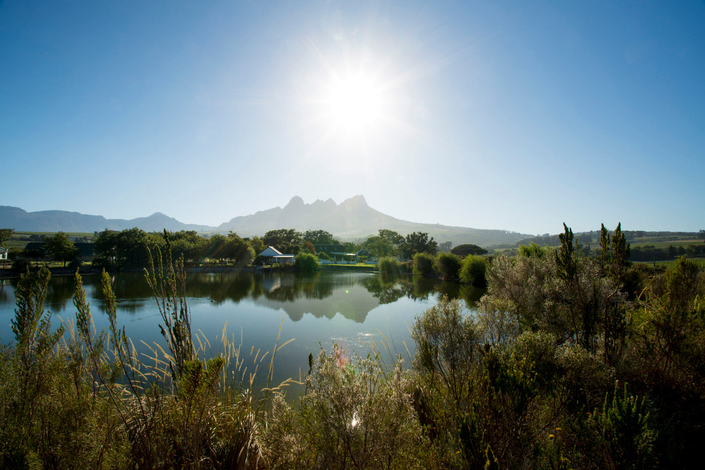 Ken Forrester 'Sparklehorse' Brut Methode Cap Classique, Stellenbosch, South Africa