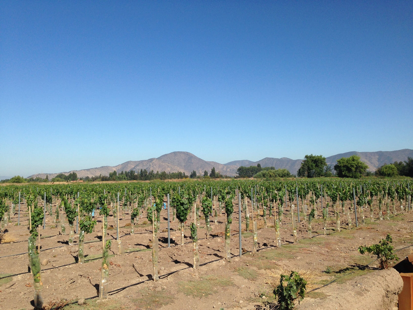 Undurraga Bodegas Volcanes de Chile '8 Rios' Sauvignon Blanc, Leyda Valley, Chile