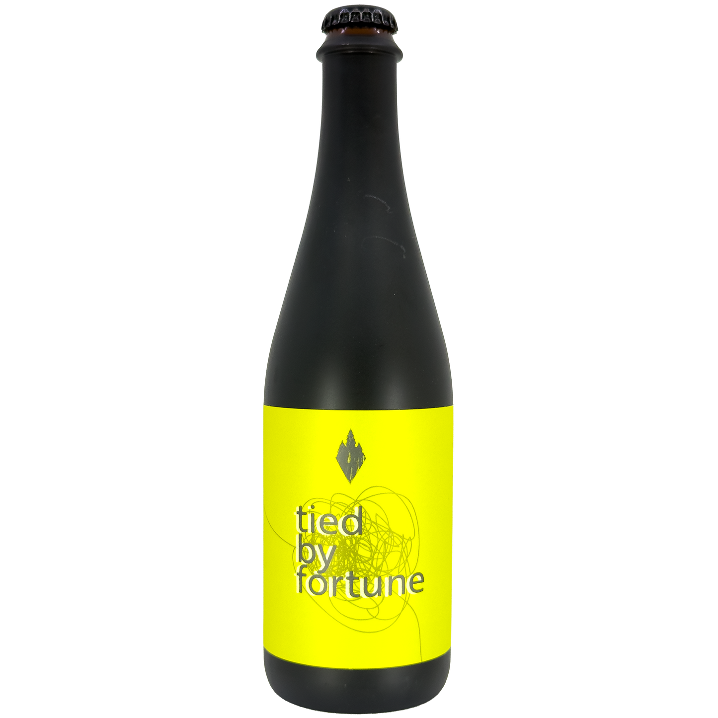 Wanderment Brewing 'Tied By Fortune' Dry Hopped Saison Beer, Colorado