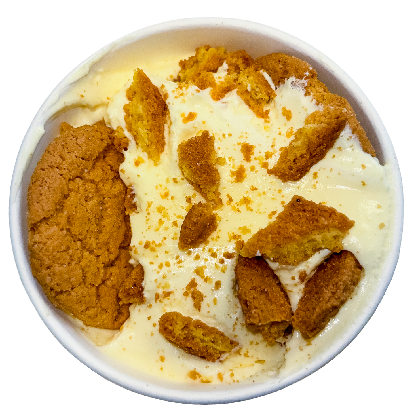 The Yellow Fix Banana Puddings, Colorado