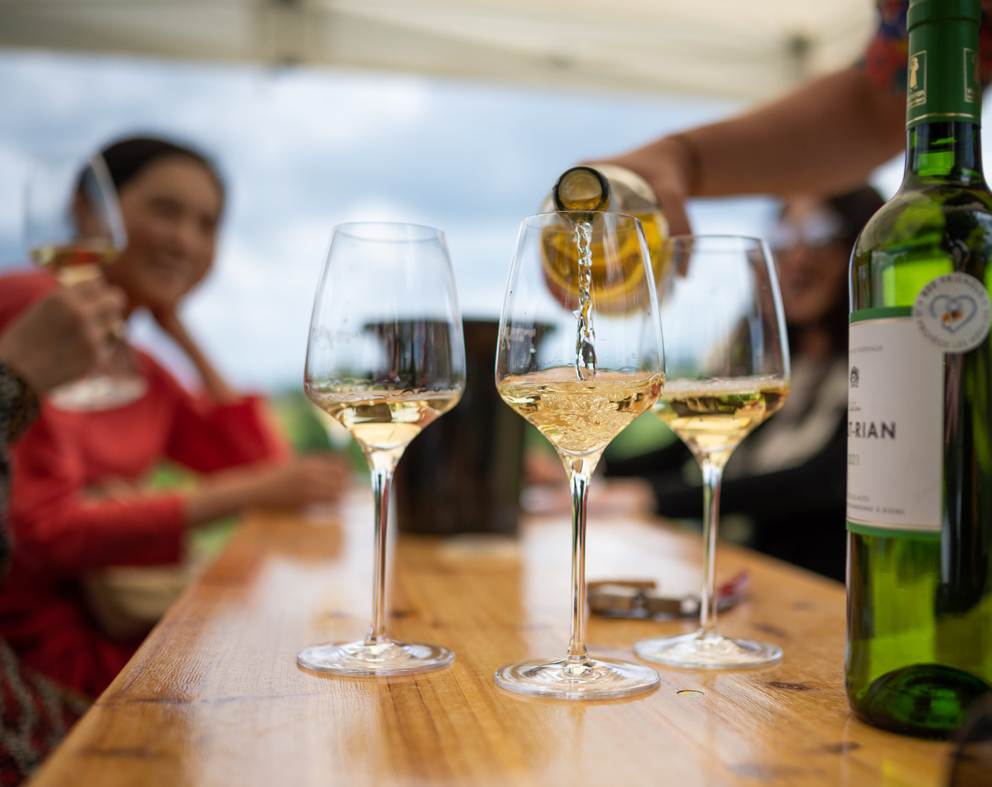 Chateau Haut Rian Blanc, Bordeaux, France